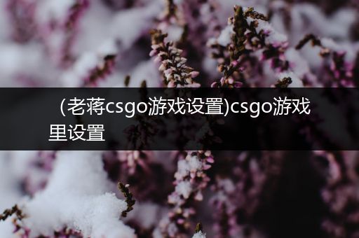 （老蒋csgo游戏设置)csgo游戏里设置