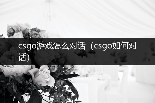 csgo游戏怎么对话（csgo如何对话）