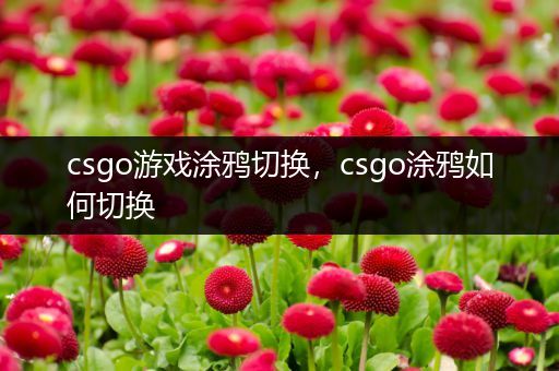 csgo游戏涂鸦切换，csgo涂鸦如何切换