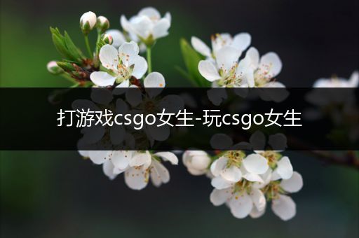 打游戏csgo女生-玩csgo女生