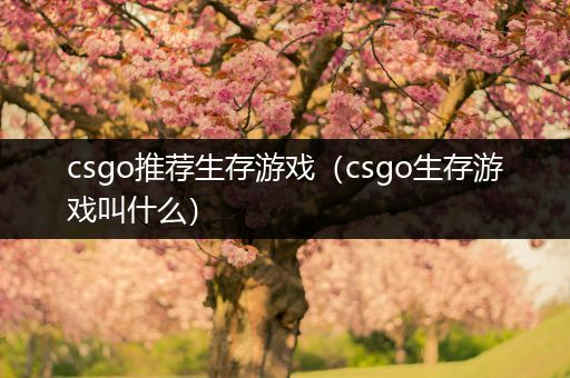 csgo推荐生存游戏（csgo生存游戏叫什么）