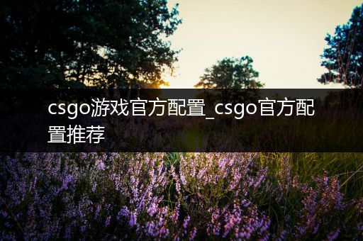 csgo游戏官方配置_csgo官方配置推荐