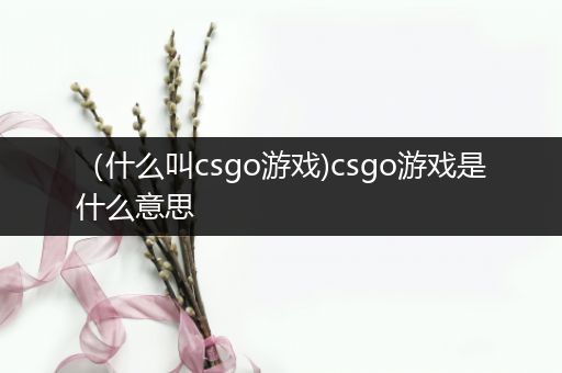 （什么叫csgo游戏)csgo游戏是什么意思
