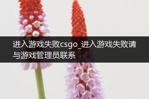 进入游戏失败csgo_进入游戏失败请与游戏管理员联系