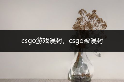 csgo游戏误封，csgo被误封