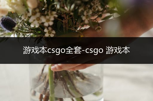 游戏本csgo全套-csgo 游戏本