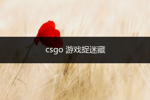 csgo 游戏捉迷藏