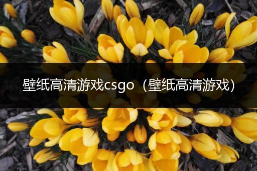 壁纸高清游戏csgo（壁纸高清游戏）