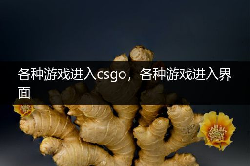 各种游戏进入csgo，各种游戏进入界面