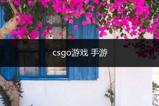 csgo游戏 手游