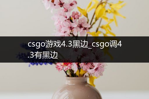 csgo游戏4.3黑边_csgo调4.3有黑边