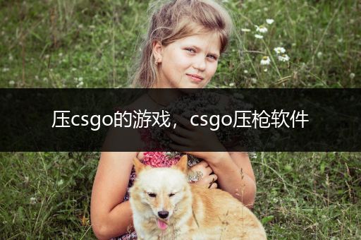 压csgo的游戏，csgo压枪软件