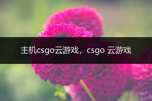 主机csgo云游戏，csgo 云游戏