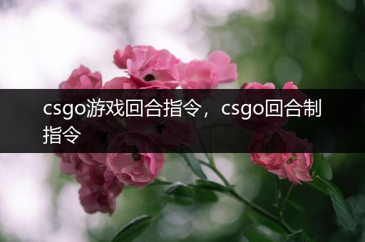 csgo游戏回合指令，csgo回合制指令