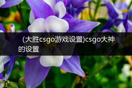 （大胜csgo游戏设置)csgo大神的设置