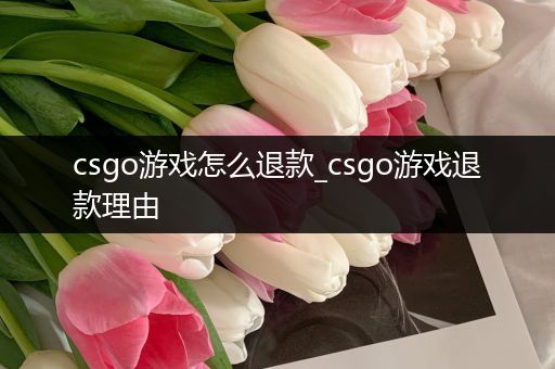 csgo游戏怎么退款_csgo游戏退款理由