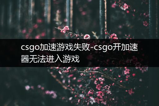 csgo加速游戏失败-csgo开加速器无法进入游戏