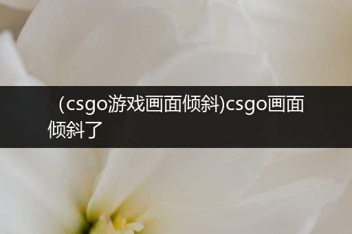 （csgo游戏画面倾斜)csgo画面倾斜了