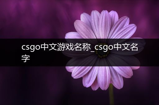 csgo中文游戏名称_csgo中文名字