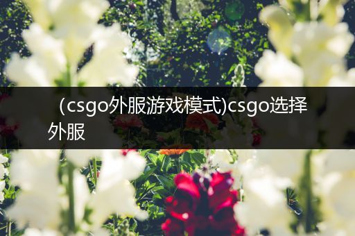 （csgo外服游戏模式)csgo选择外服