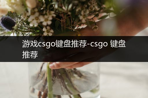 游戏csgo键盘推荐-csgo 键盘推荐