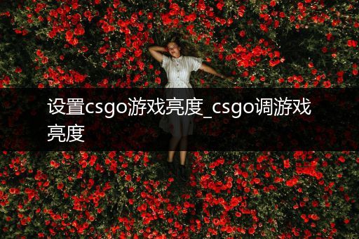 设置csgo游戏亮度_csgo调游戏亮度