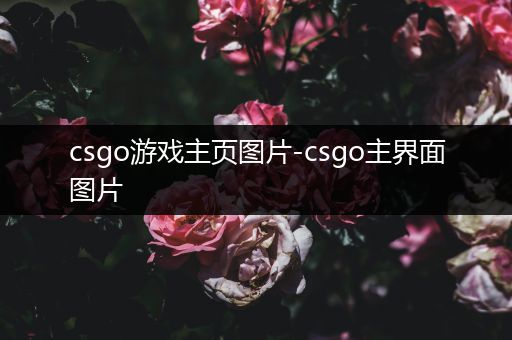 csgo游戏主页图片-csgo主界面图片