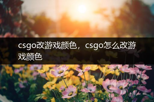 csgo改游戏颜色，csgo怎么改游戏颜色