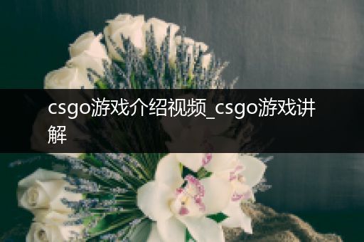 csgo游戏介绍视频_csgo游戏讲解