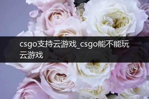 csgo支持云游戏_csgo能不能玩云游戏