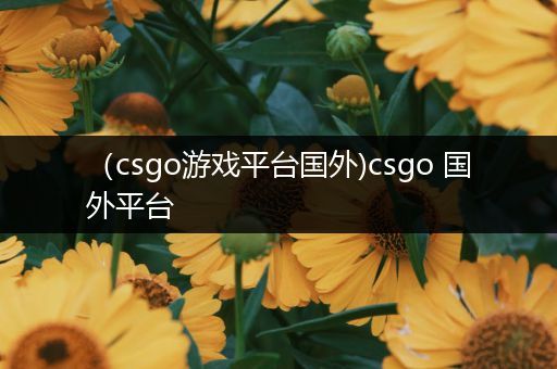 （csgo游戏平台国外)csgo 国外平台