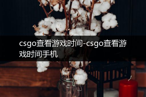 csgo查看游戏时间-csgo查看游戏时间手机