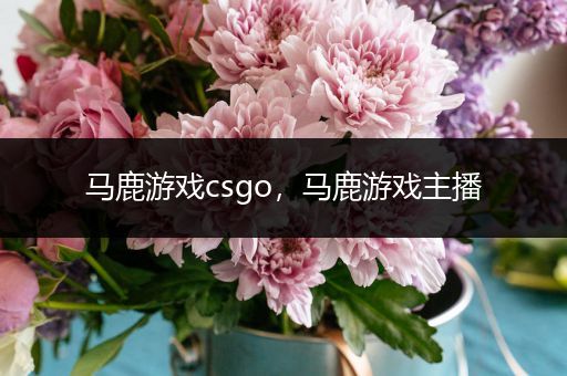 马鹿游戏csgo，马鹿游戏主播