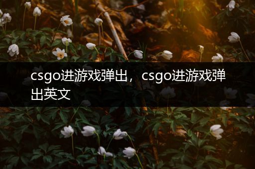 csgo进游戏弹出，csgo进游戏弹出英文