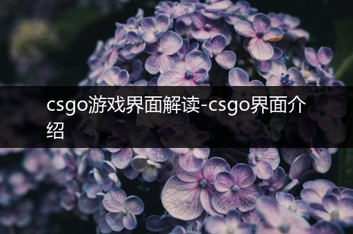 csgo游戏界面解读-csgo界面介绍