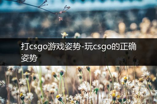 打csgo游戏姿势-玩csgo的正确姿势