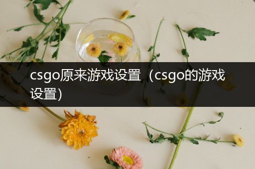 csgo原来游戏设置（csgo的游戏设置）