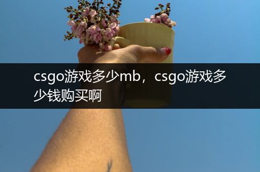 csgo游戏多少mb，csgo游戏多少钱购买啊