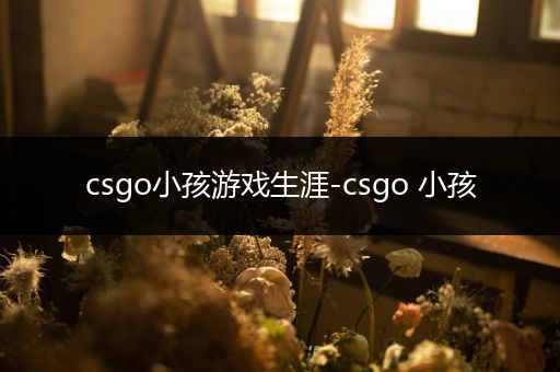 csgo小孩游戏生涯-csgo 小孩