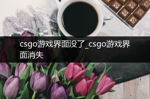 csgo游戏界面没了_csgo游戏界面消失