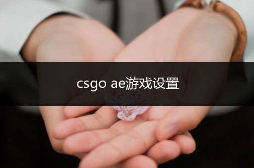 csgo ae游戏设置