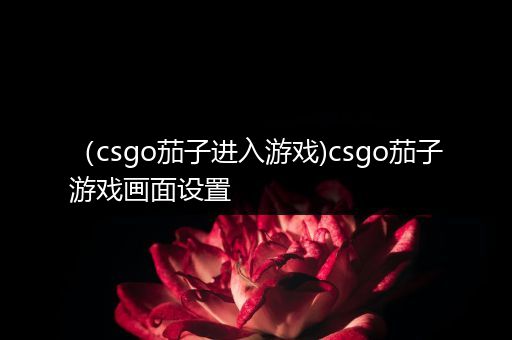 （csgo茄子进入游戏)csgo茄子游戏画面设置