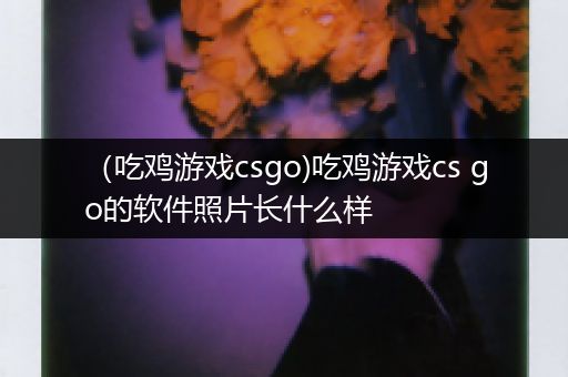 （吃鸡游戏csgo)吃鸡游戏cs go的软件照片长什么样