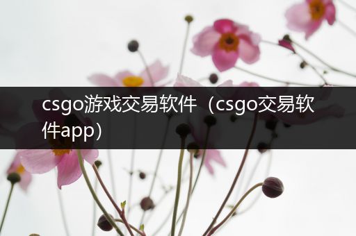 csgo游戏交易软件（csgo交易软件app）