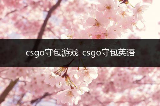 csgo守包游戏-csgo守包英语