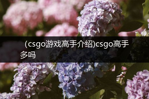 （csgo游戏高手介绍)csgo高手多吗