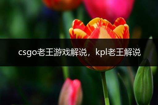 csgo老王游戏解说，kpl老王解说