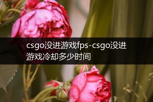 csgo没进游戏fps-csgo没进游戏冷却多少时间