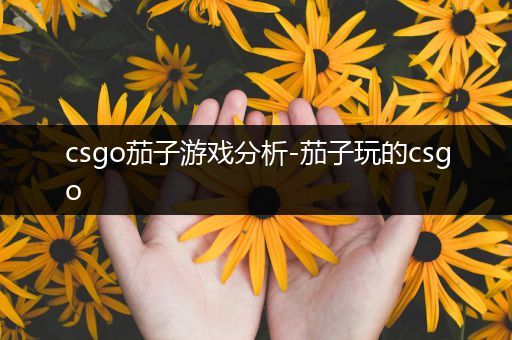 csgo茄子游戏分析-茄子玩的csgo