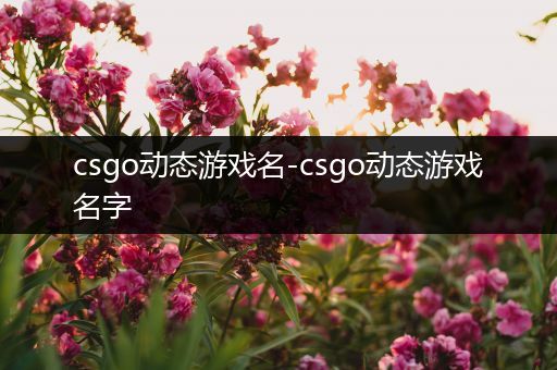 csgo动态游戏名-csgo动态游戏名字